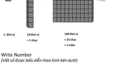 Một số bài toán tư duy lớp 2 có đáp án